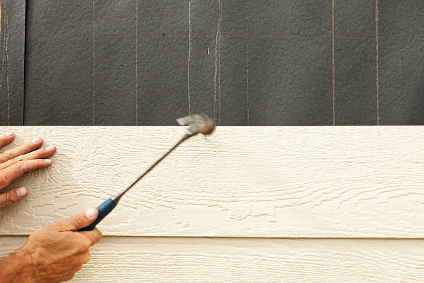 Best Siding Removal and Disposal  in Arlington, TN